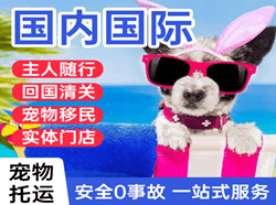 丽江三义机场快递国际宠物托运 【国